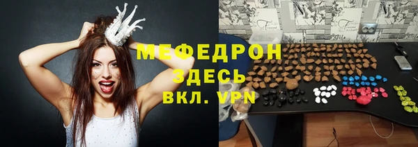 индика Кулебаки