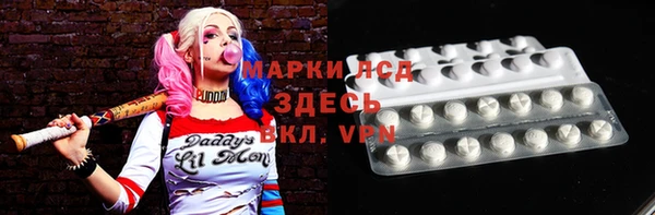 индика Кулебаки