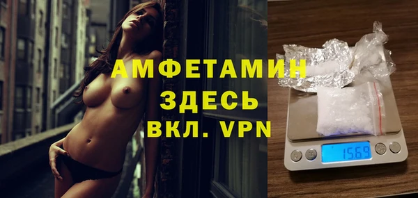 индика Кулебаки