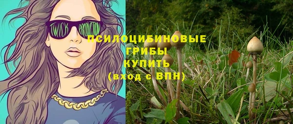 альфа пвп Краснослободск