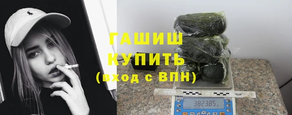 индика Кулебаки
