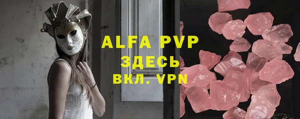 индика Кулебаки