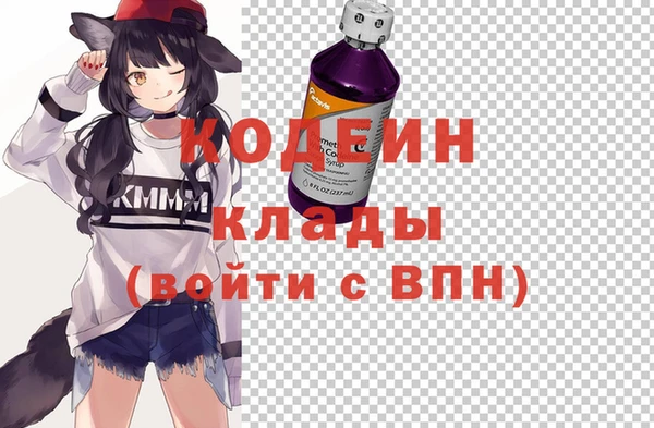индика Кулебаки