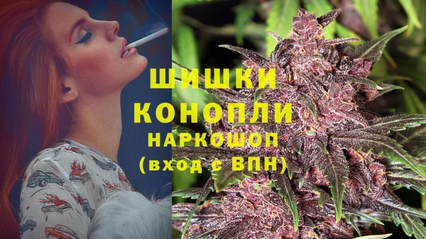 индика Кулебаки