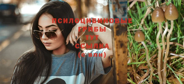 MESCALINE Куйбышев
