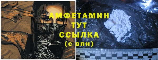 индика Кулебаки