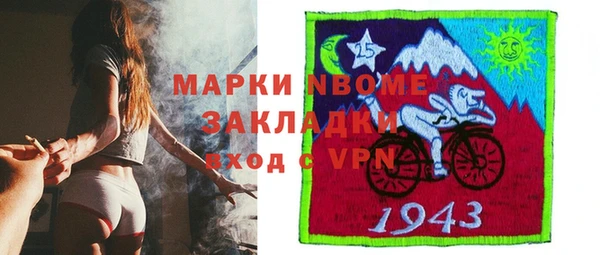 индика Кулебаки