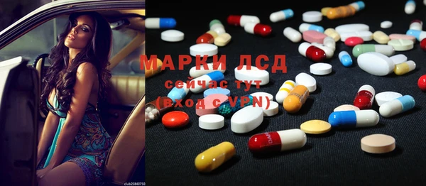 индика Кулебаки